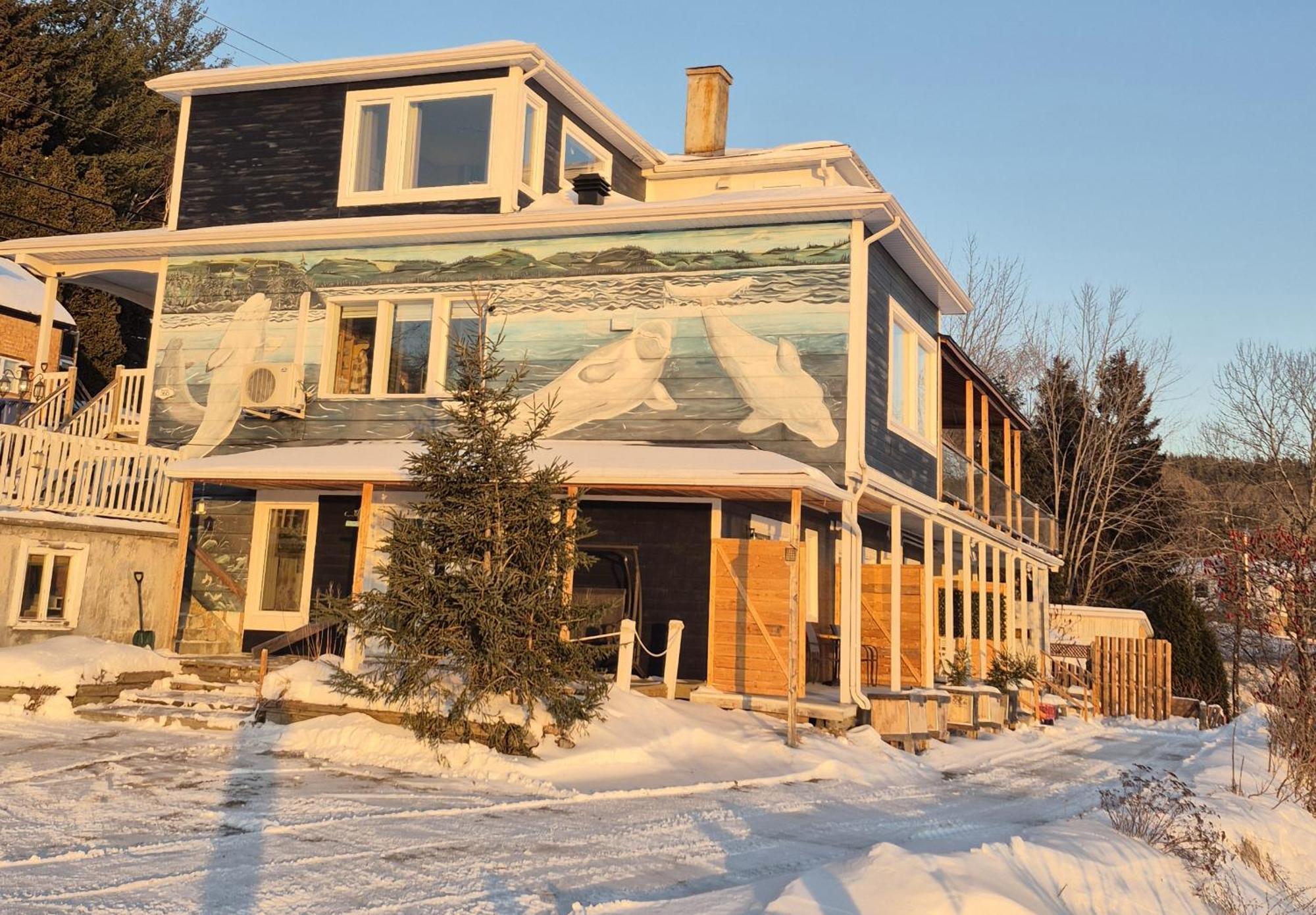 Saint-Fulgence Suite 2 Fleche Du Fjord Vue Saguenay Mont Valin מראה חיצוני תמונה